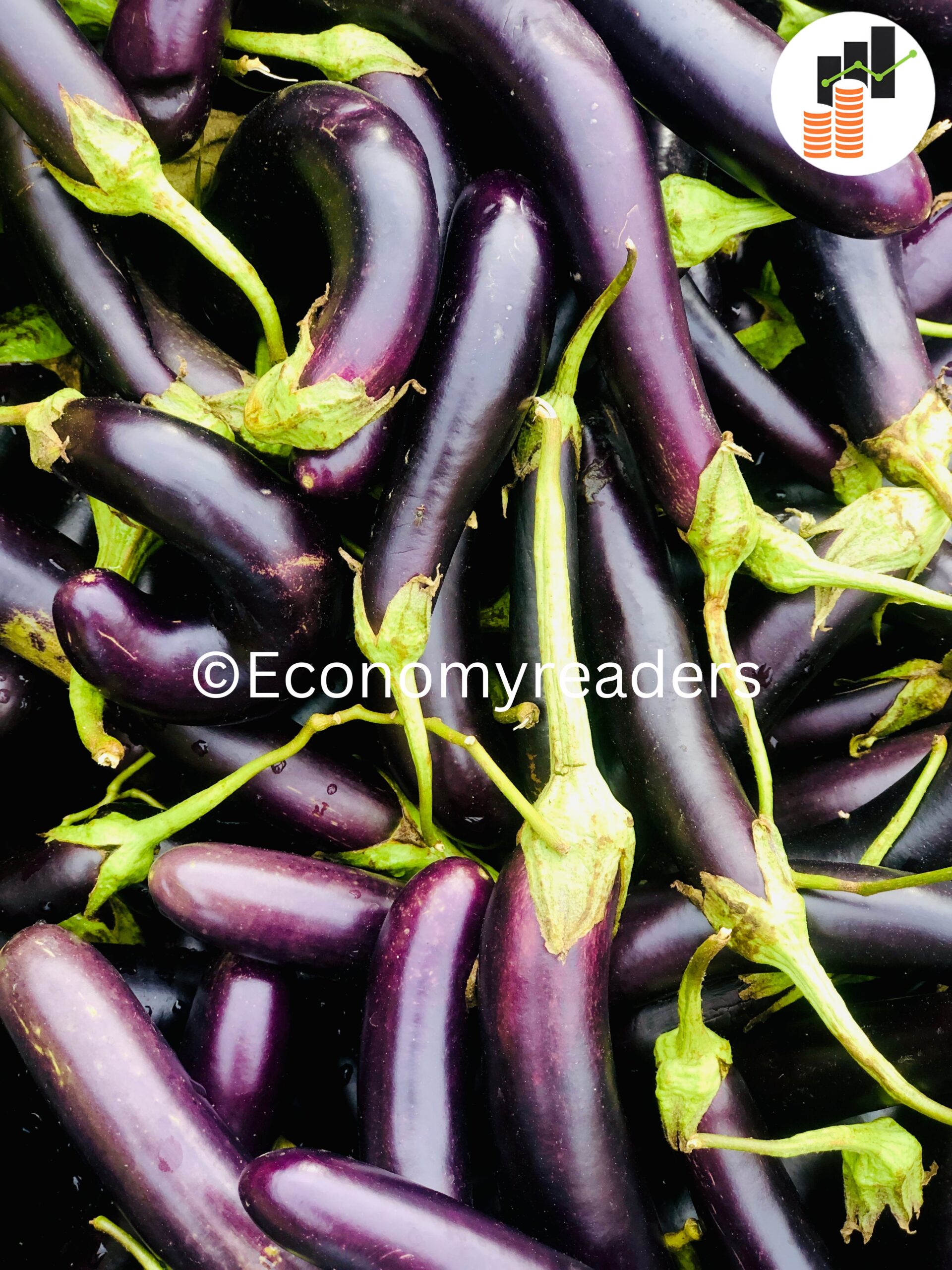 Brinjal | भान्टा