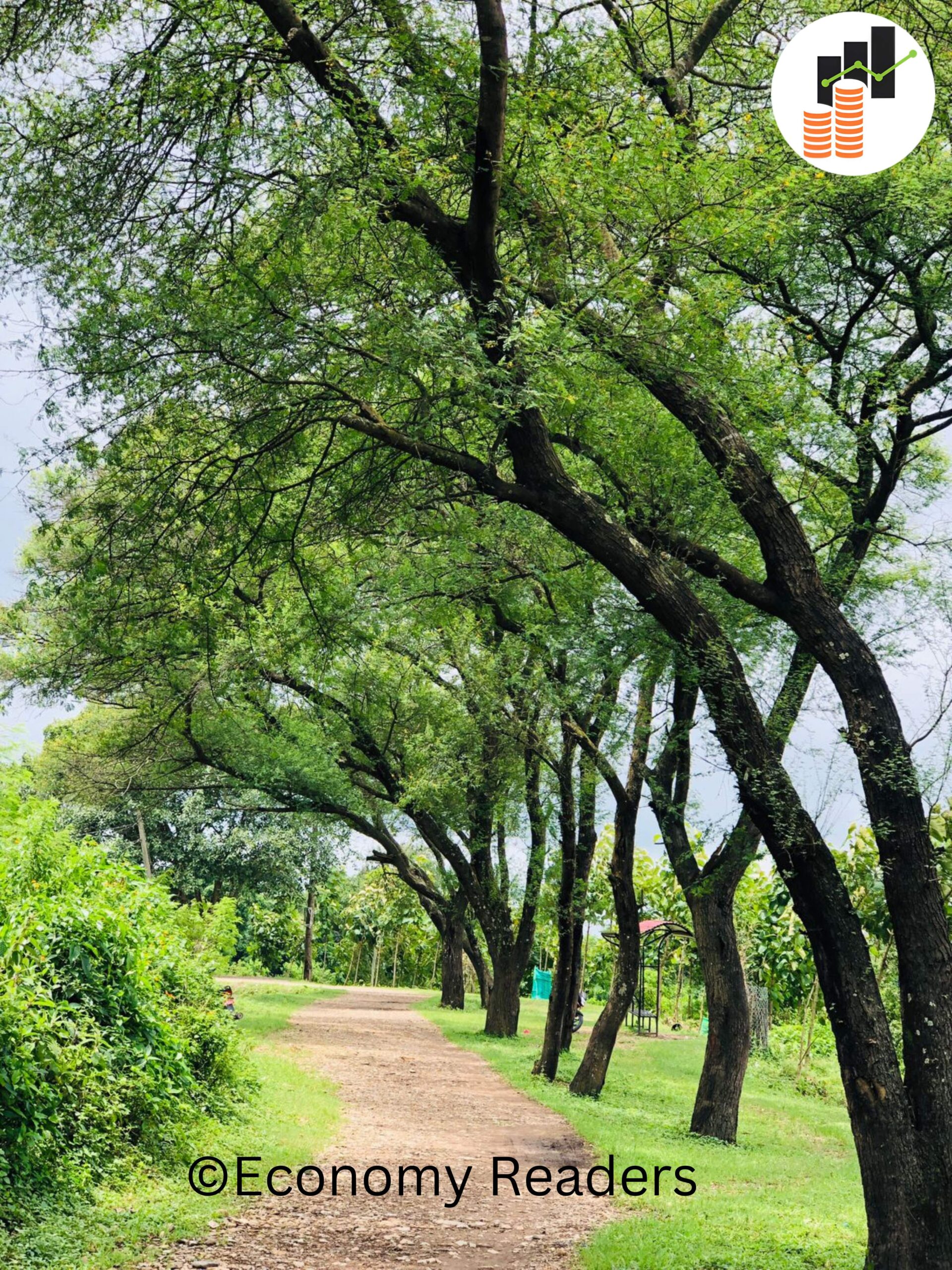 Green Trees