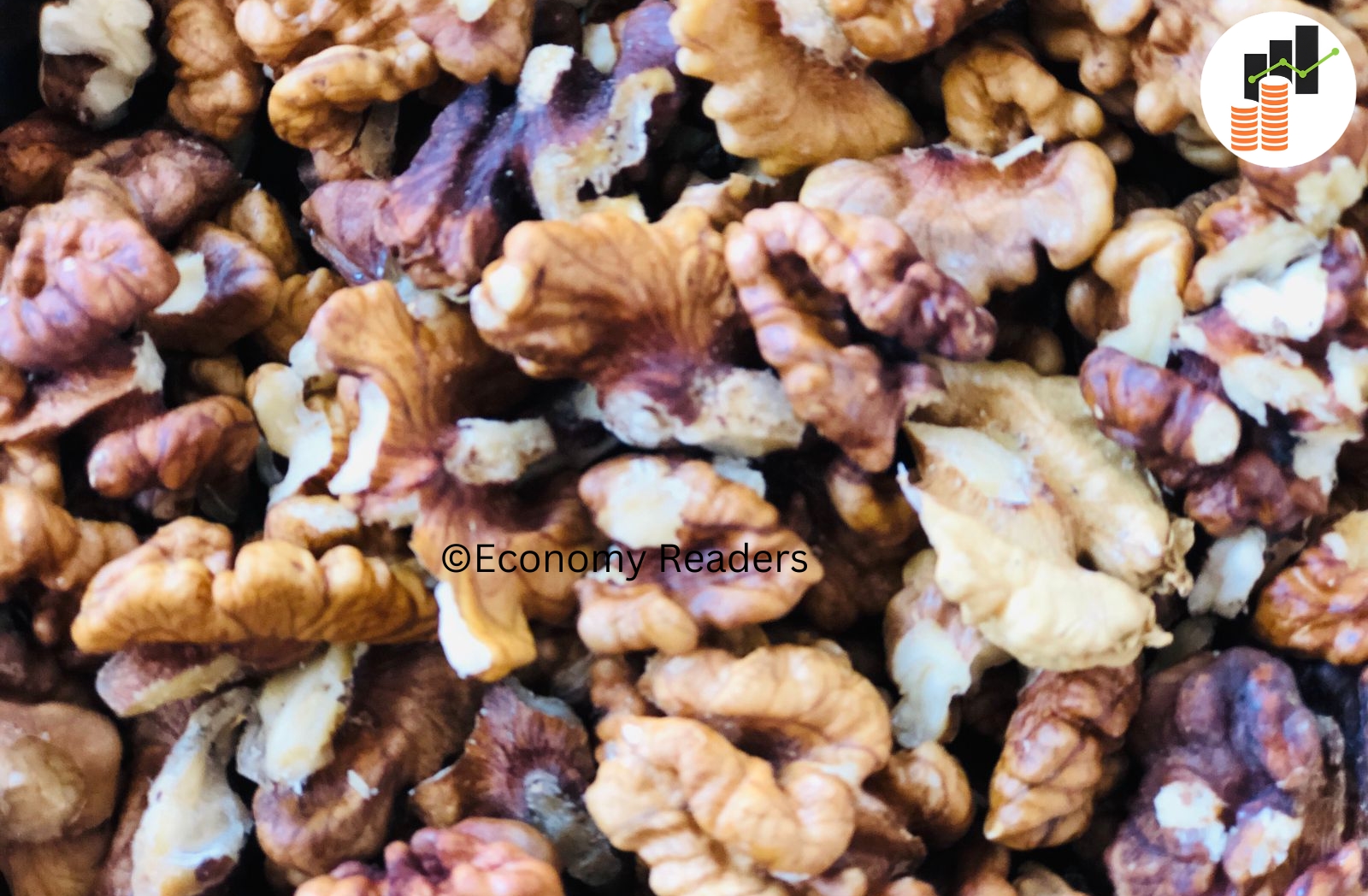 what are the vitamins and protein of walnuts?