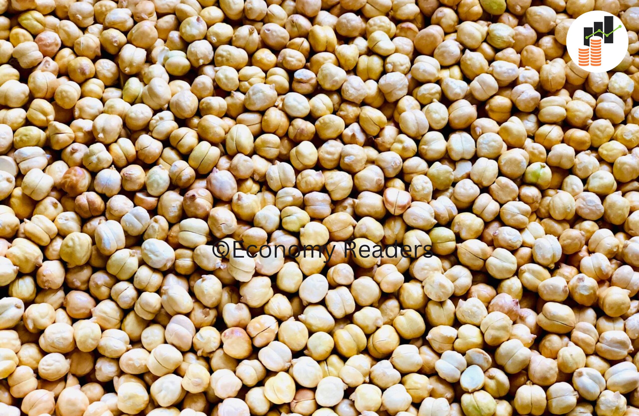 Bhuteko chickpeas | भुटेको चना https://www.economyreaders.com/