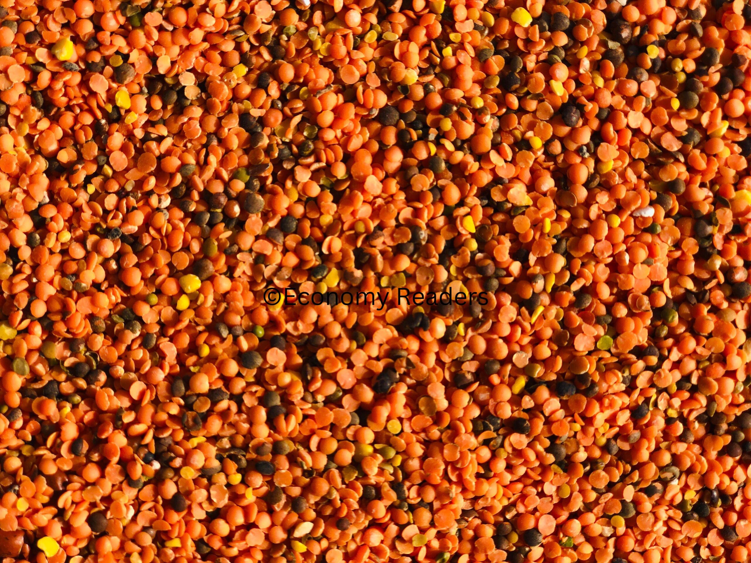 Pigeon pea