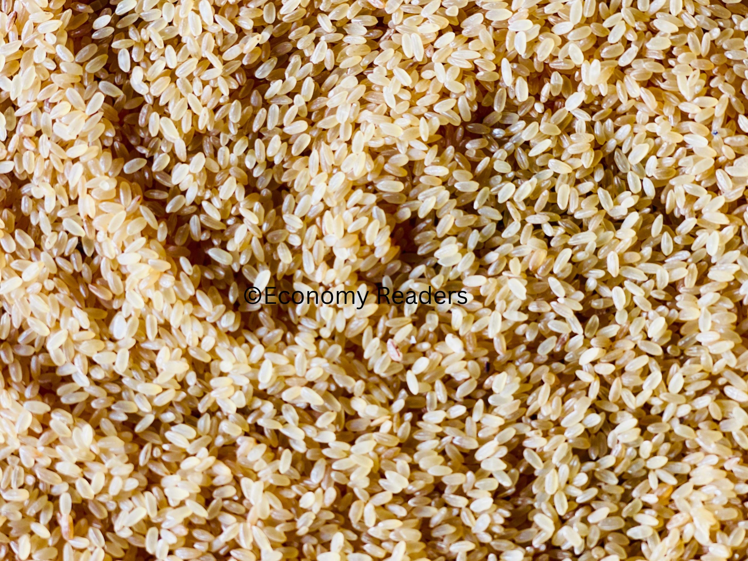 सिरौला चामल / Rice