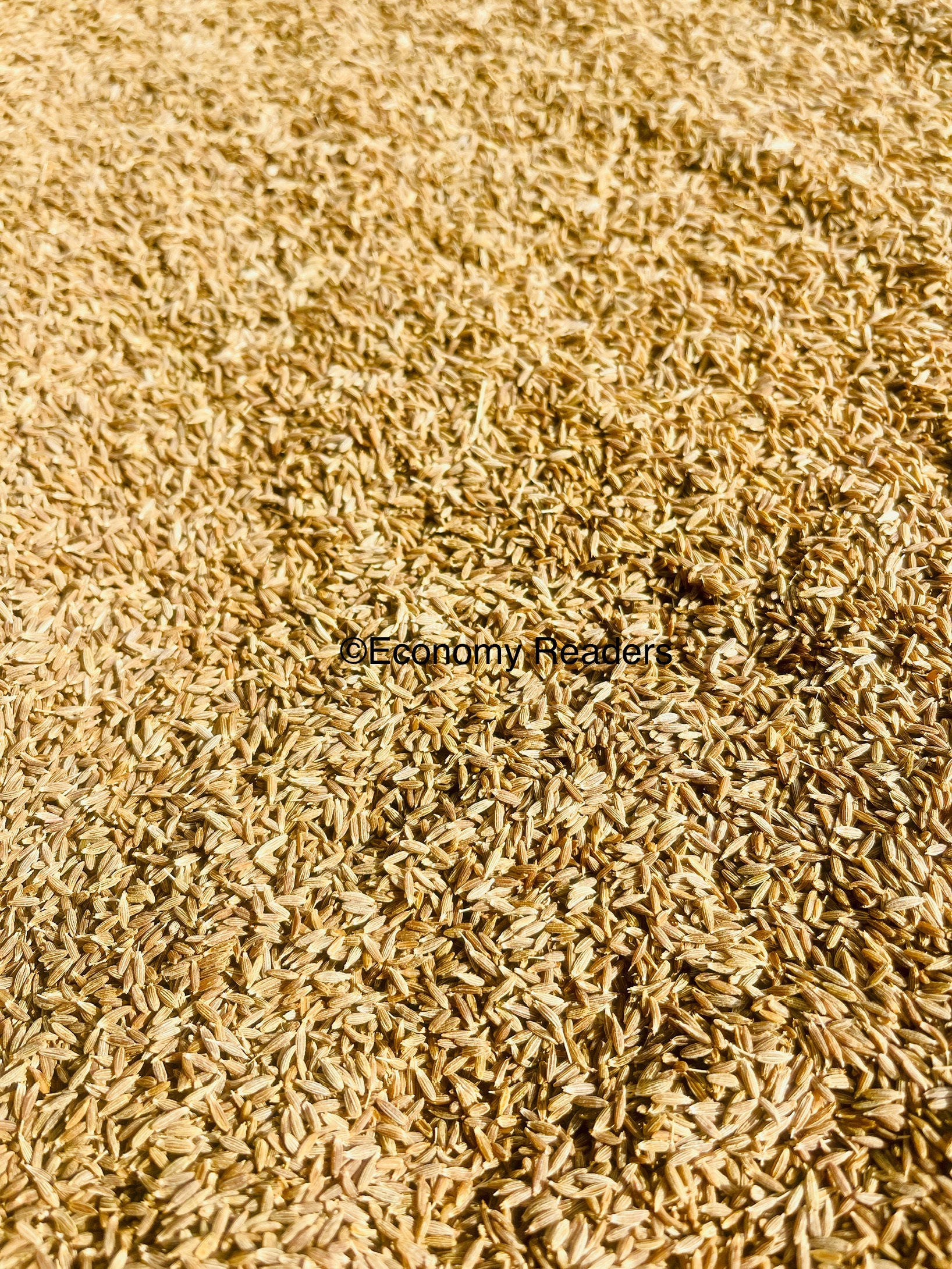 जिरा | प्रयोग गर्ने तरिका