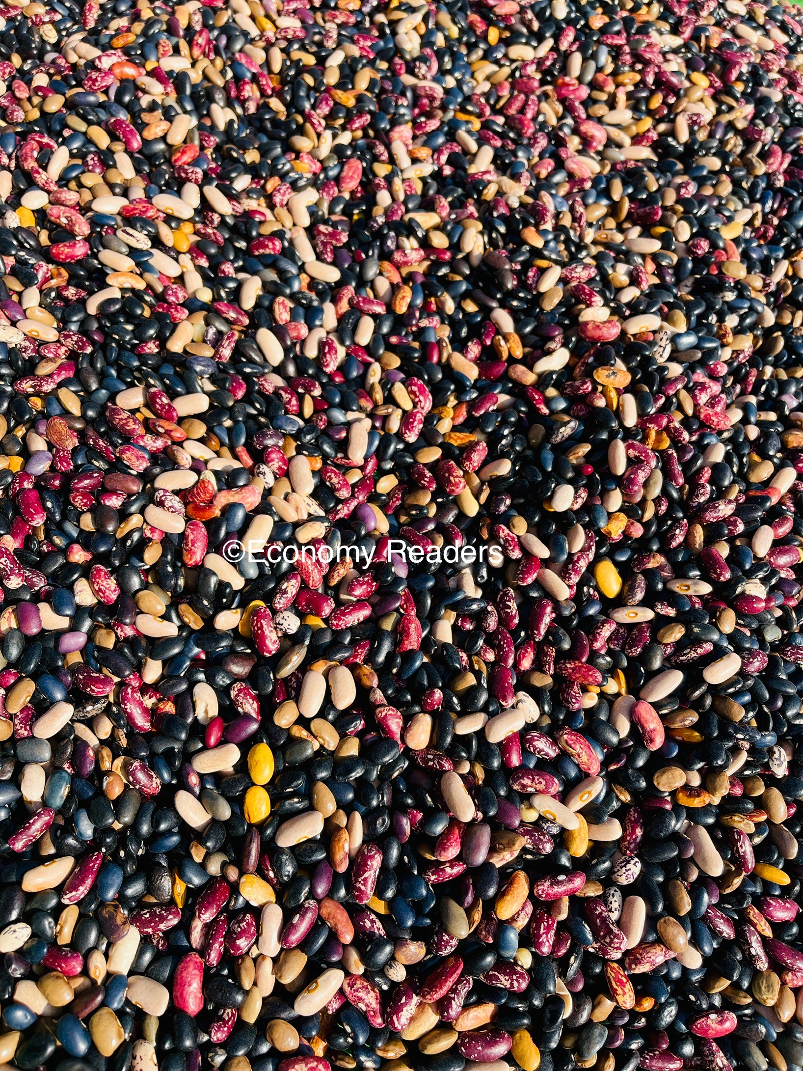 सिमी | गेडा गुडी | तरकारी